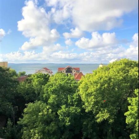 Appartement Vue Sur Baie Et Ocean, 100 M De La Plage Et Du Centre Par Chemin Prive Arcachon Exteriér fotografie