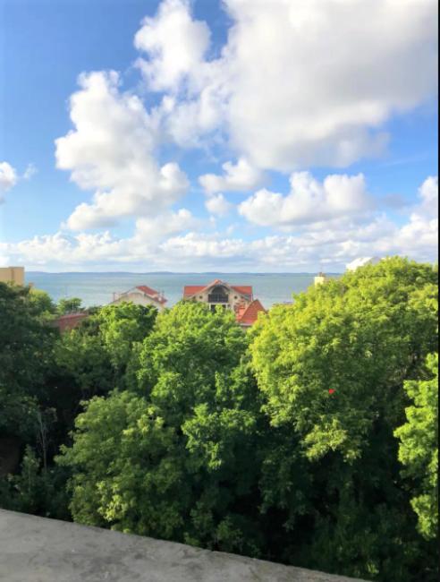 Appartement Vue Sur Baie Et Ocean, 100 M De La Plage Et Du Centre Par Chemin Prive Arcachon Exteriér fotografie