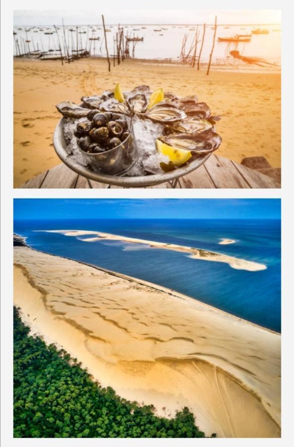 Appartement Vue Sur Baie Et Ocean, 100 M De La Plage Et Du Centre Par Chemin Prive Arcachon Exteriér fotografie